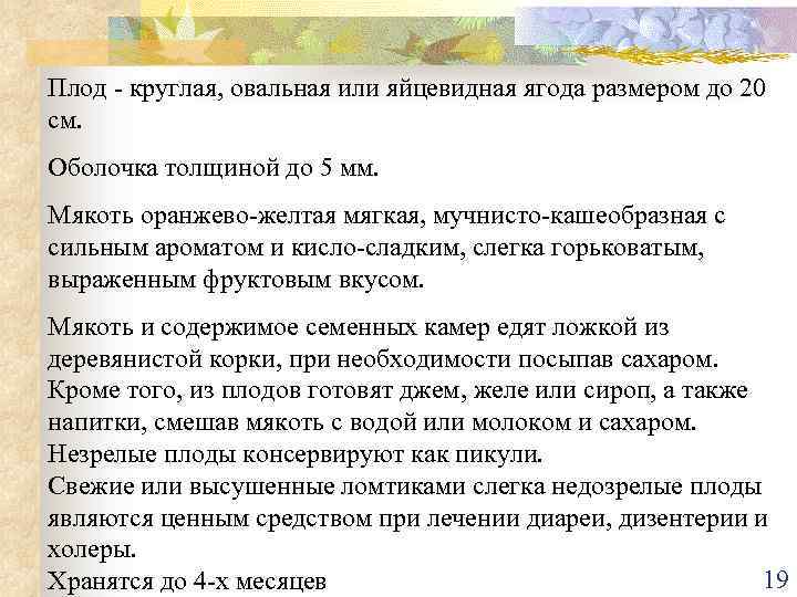 Плод - круглая, овальная или яйцевидная ягода размером до 20 см. Оболочка толщиной до