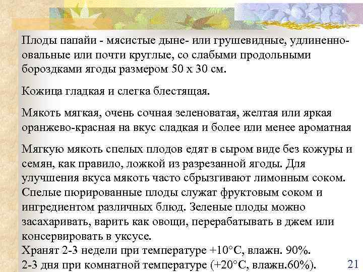 Плоды папайи - мясистые дыне- или грушевидные, удлиненноовальные или почти круглые, со слабыми продольными