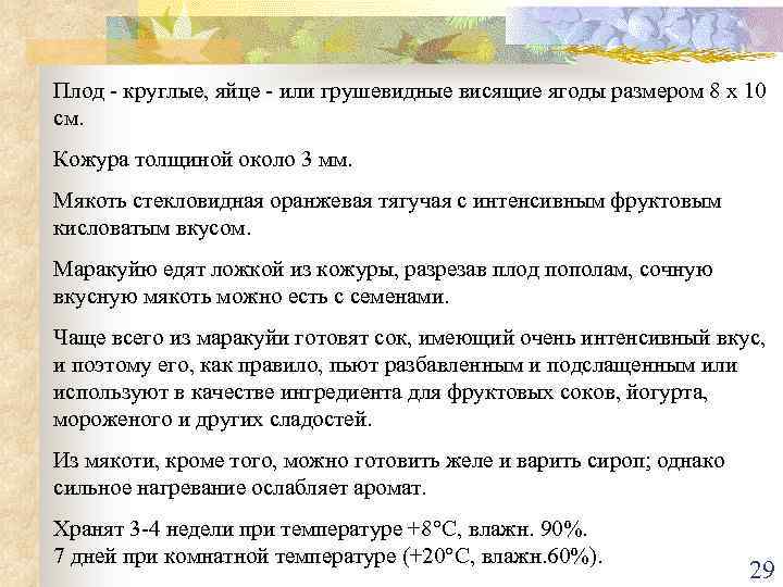 Плод - круглые, яйце - или грушевидные висящие ягоды размером 8 х 10 см.