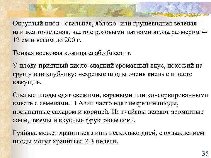 Округлый плод - овальная, яблоко- или грушевидная зеленая или желто-зеленая, часто с розовыми пятнами