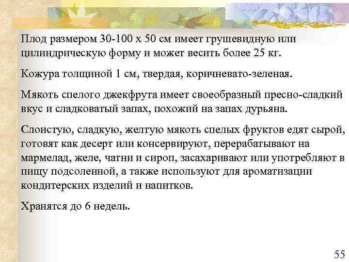 Плод размером 30 -100 х 50 см имеет грушевидную или цилиндрическую форму и может