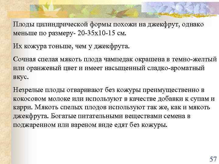 Плоды цилиндрической формы похожи на джекфрут, однако меньше по размеру- 20 -35 х10 -15