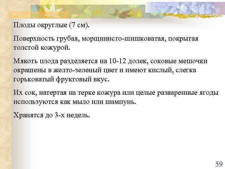 Плоды округлые (7 см). Поверхность грубая, морщинисто-шишковатая, покрытая толстой кожурой. Мякоть плода разделяется на