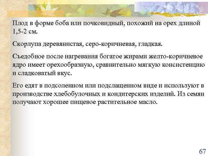 Плод в форме боба или почковидный, похожий на орех длиной 1, 5 -2 см.