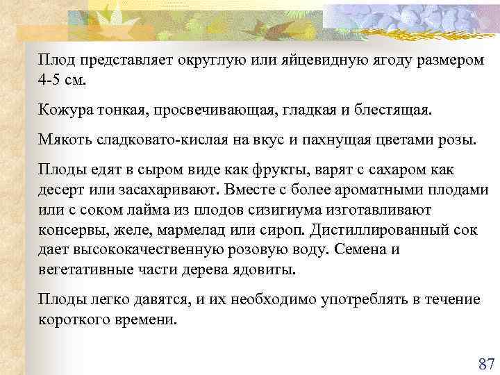 Плод представляет округлую или яйцевидную ягоду размером 4 -5 см. Кожура тонкая, просвечивающая, гладкая