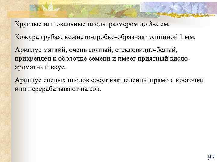 Круглые или овальные плоды размером до 3 -х см. Кожура грубая, кожисто-пробко-образная толщиной 1