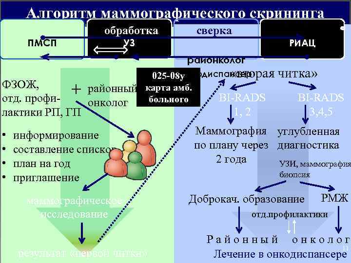 Алгоритм маммографического скрининга обработка ПМСП сверка УЗ РИАЦ районколог ФЗОЖ, + районный отд. профионколог