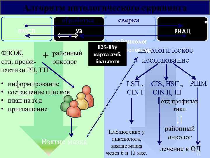 Алгоритм цитологического скрининга обработка ПМСП УЗ ФЗОЖ, + районный отд. профионколог лактики РП, ГП