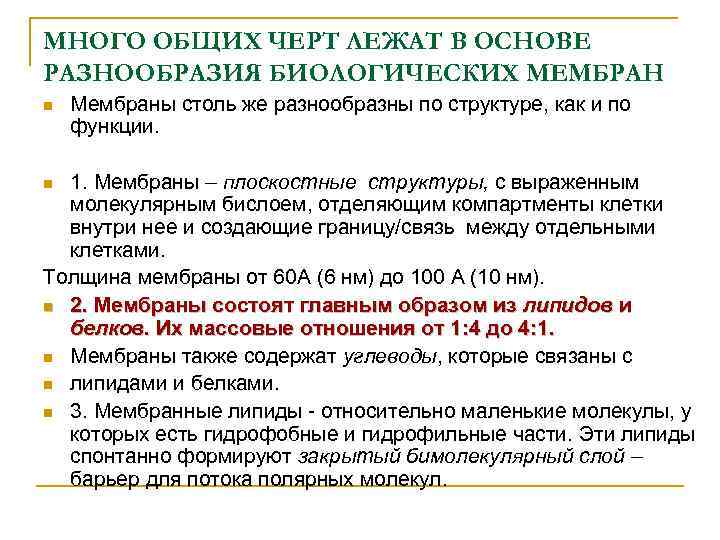 МНОГО ОБЩИХ ЧЕРТ ЛЕЖАТ В ОСНОВЕ РАЗНООБРАЗИЯ БИОЛОГИЧЕСКИХ МЕМБРАН n Мембраны столь же разнообразны
