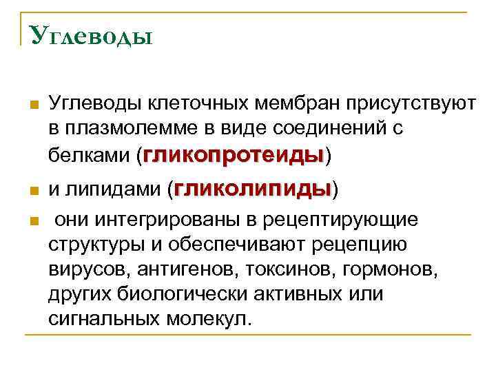 Углеводы n n n Углеводы клеточных мембран присутствуют в плазмолемме в виде соединений с