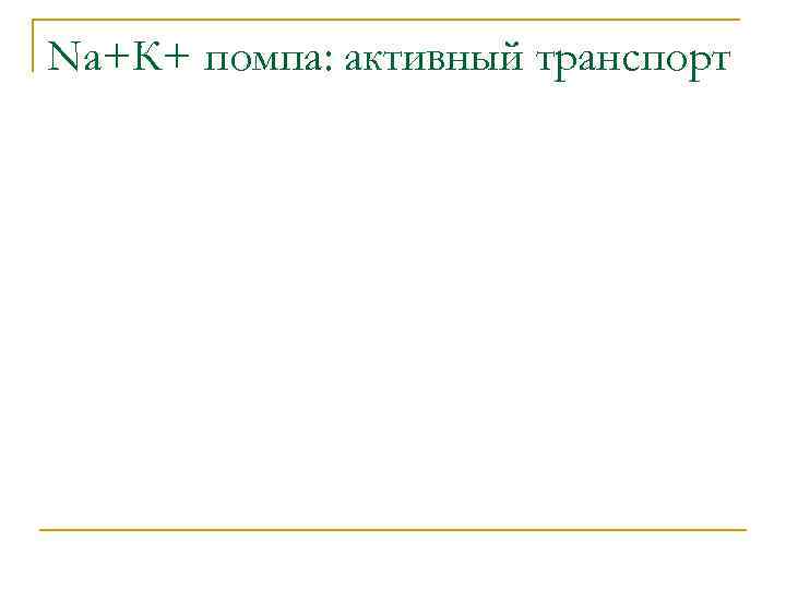 Na+К+ помпа: активный транспорт 