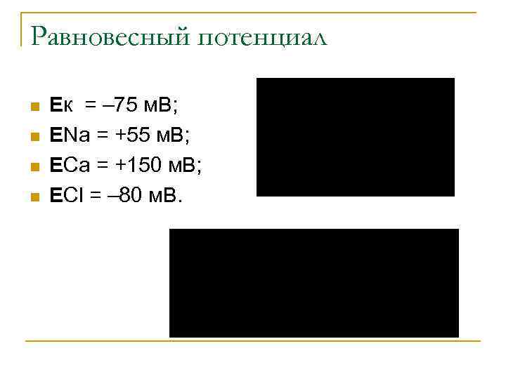 Равновесный потенциал n n Ек = – 75 м. В; ЕNa = +55 м.