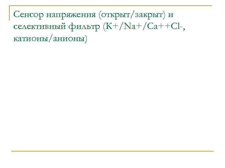 Сенсор напряжения (открыт/закрыт) и селективный фильтр (К+/Nа+/Са++Сl-, катионы/анионы) 