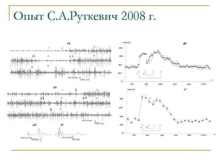 Опыт С. А. Руткевич 2008 г. 