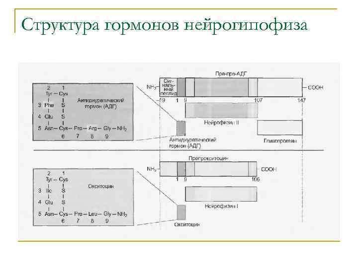 Структура гормонов нейрогипофиза 
