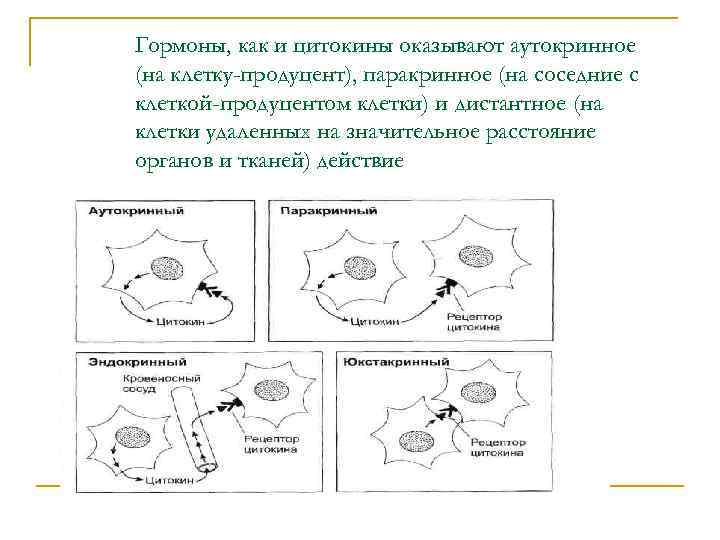 Гормоны, как и цитокины оказывают аутокринное (на клетку-продуцент), паракринное (на соседние с клеткой-продуцентом клетки)