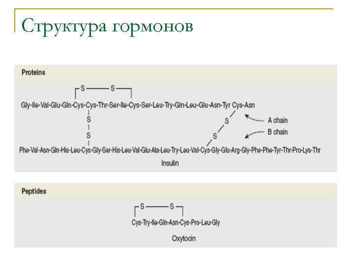 Структура гормонов 