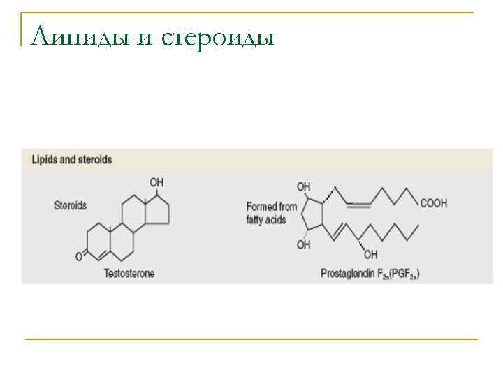 Липиды и стероиды 