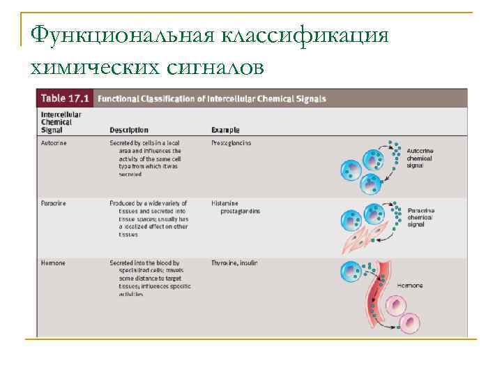 Функциональная классификация химических сигналов 