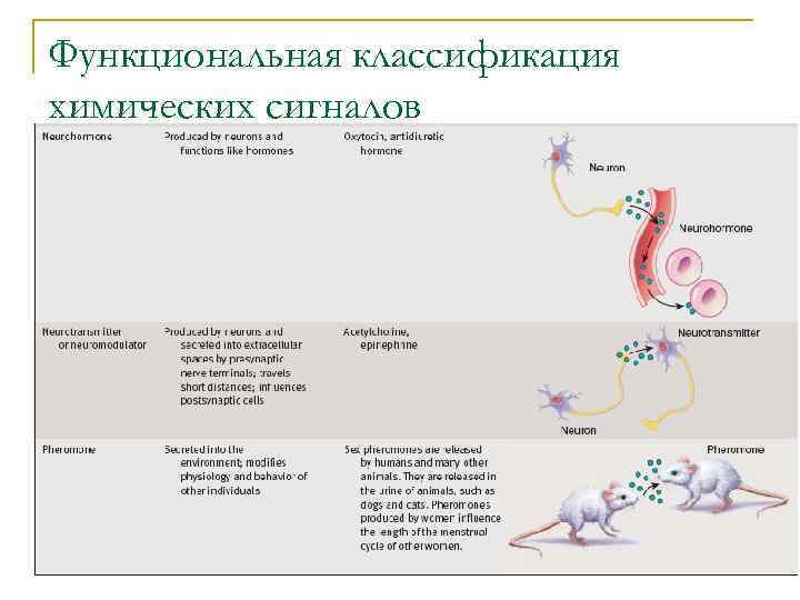 Функциональная классификация химических сигналов 