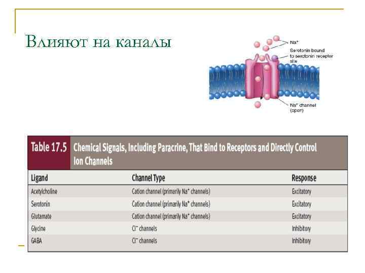 Влияют на каналы 