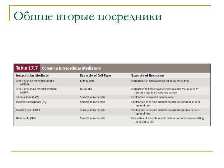 Общие вторые посредники 