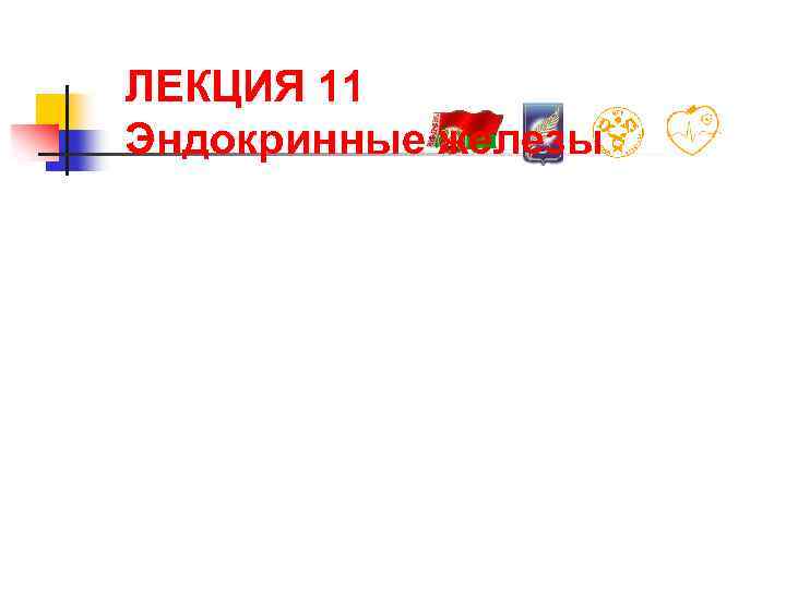 ЛЕКЦИЯ 11 Эндокринные железы 