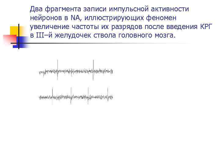 Два фрагмента записи импульсной активности нейронов в NA, иллюстрирующих феномен увеличение частоты их разрядов