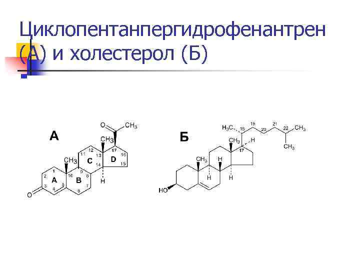 Циклопентанпергидрофенантрен (А) и холестерол (Б) 