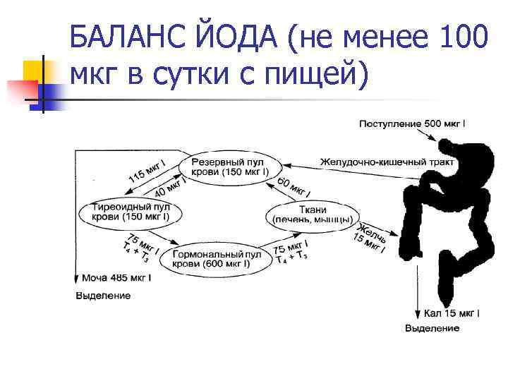 БАЛАНС ЙОДА (не менее 100 мкг в сутки с пищей) 