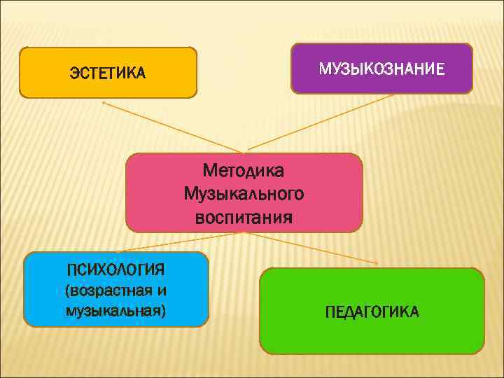 МУЗЫКОЗНАНИЕ ЭСТЕТИКА Методика Музыкального воспитания ПСИХОЛОГИЯ (возрастная и музыкальная) ПЕДАГОГИКА 