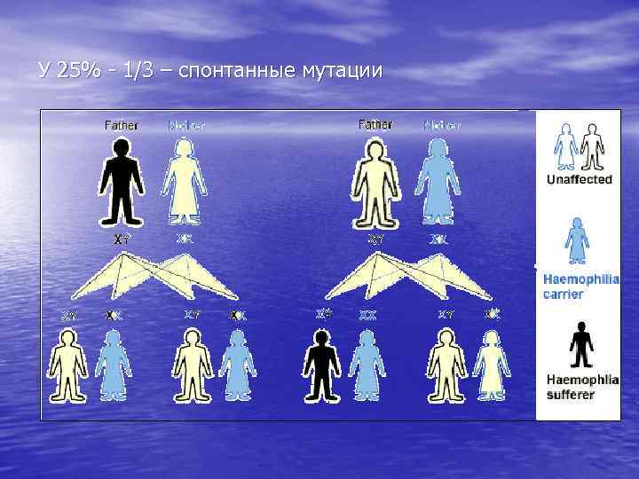 У 25% - 1/3 – спонтанные мутации 