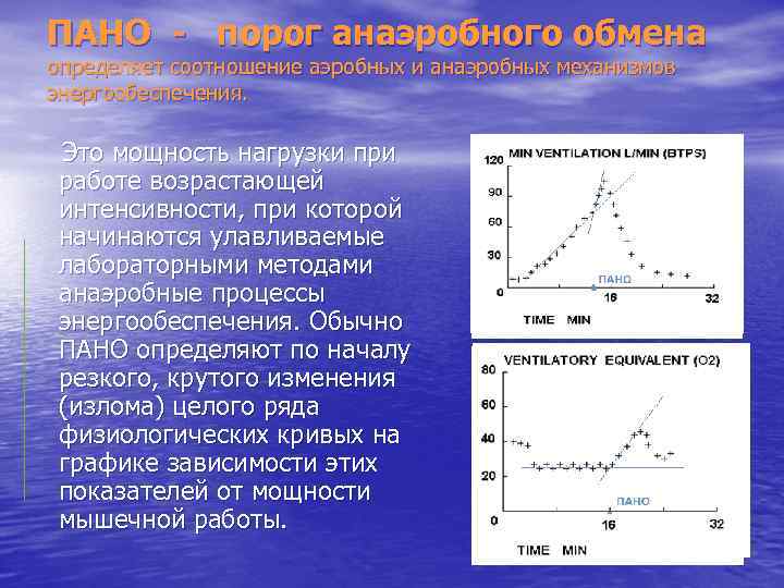 ПАНО - порог анаэробного обмена определяет соотношение аэробных и анаэробных механизмов энергообеспечения. Это мощность