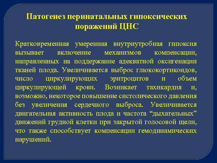 Патогенез перинатальных гипоксических поражений ЦНС Кратковременная умеренная внутриутробная гипоксия вызывает включение механизмов компенсации, направленных