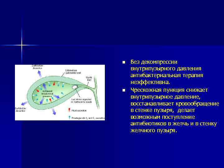 Презентация жкб терапия