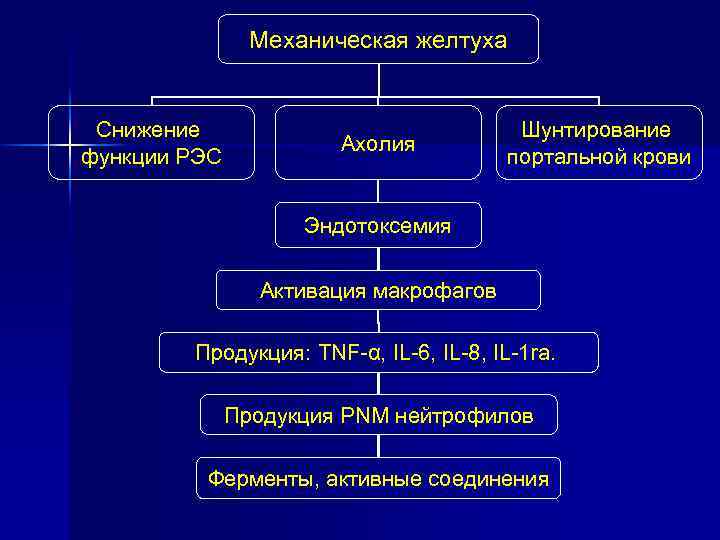 Механическая желтуха Снижение функции РЭС Ахолия Шунтирование портальной крови Эндотоксемия Активация макрофагов Продукция: TNF-α,