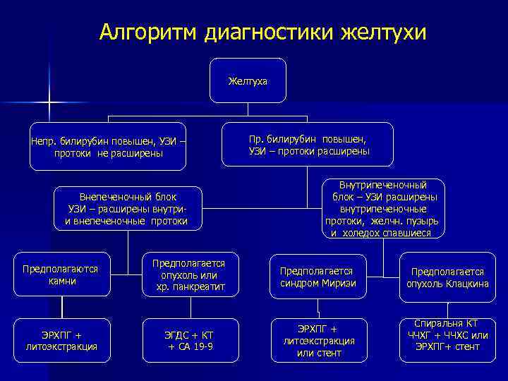 План обследования пациента с желтухой