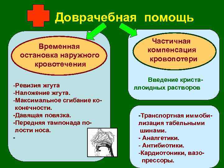 Доврачебная помощь Временная остановка наружного кровотечения -Ревизия жгута -Наложение жгута. -Максимальное сгибание коконечности. -Давящая