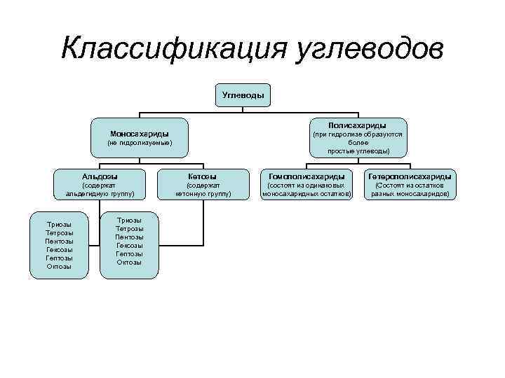 Классификация углеводов Углеводы Полисахариды Моносахариды (при гидролизе образуются более простые углеводы) (не гидролизуемые) Альдозы