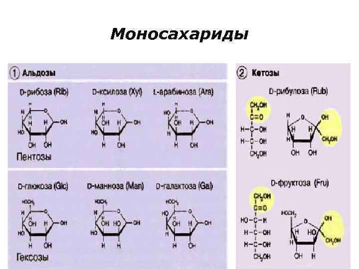 Нахождение в природе моносахаридов. Моносахариды классификация альдозы и кетозы пентозы и гексозы. Моносахариды примеры формулы.