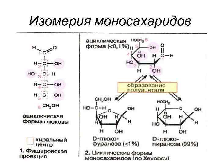 Изомерия глюкозы. Оптические изомеры моносахаридов. Типы изомерии моносахаридов. Изомеры моносахаридов примеры. Структурная изомерия моносахаридов.