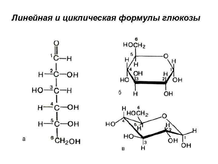 Напишите структурную формулу глюкозы