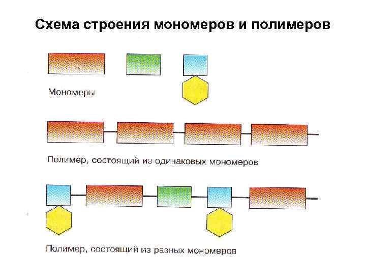 Мономер биополимера воды. Схема строения мономеров и полимеров. Полимеры схема биополимеры.