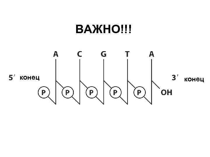 ВАЖНО!!! конец 