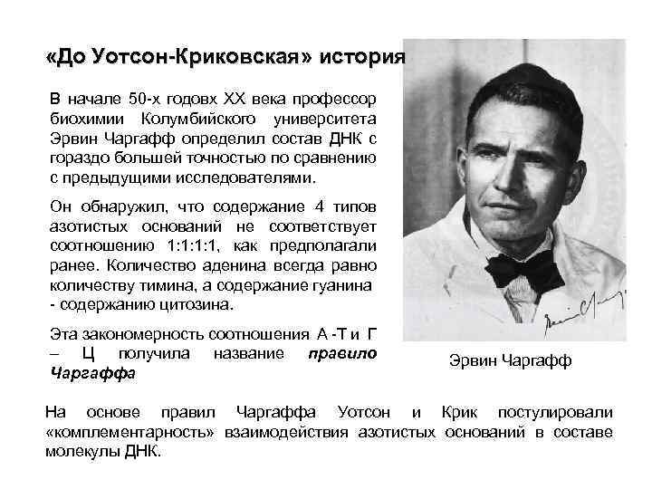  «До Уотсон-Криковская» история В начале 50 -х годовx XX века профессор биохимии Колумбийского