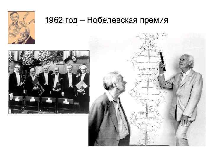 1962 год – Нобелевская премия 