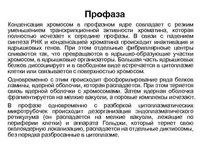 Профаза Конденсация хромосом в профазном ядре совпадает с резким уменьшением транскрипционной активности хроматина, которая