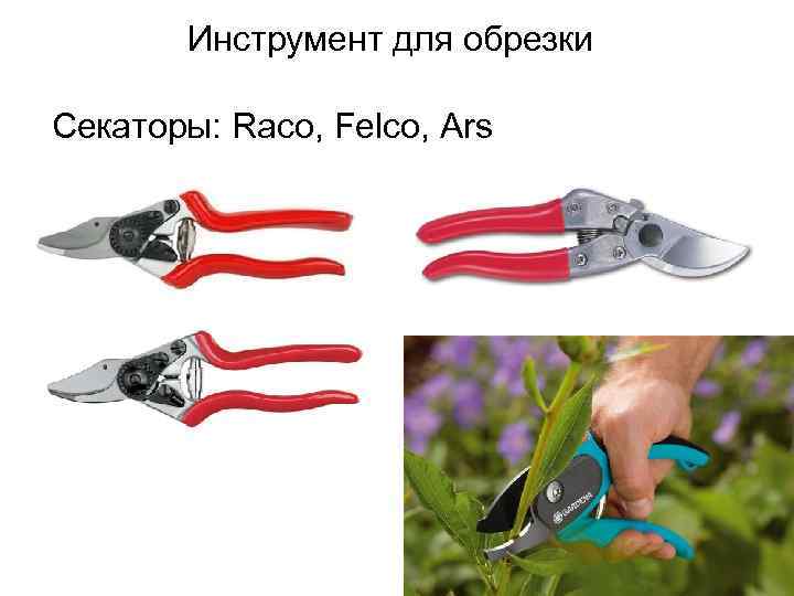 Инструмент для обрезки Секаторы: Raco, Felco, Ars 