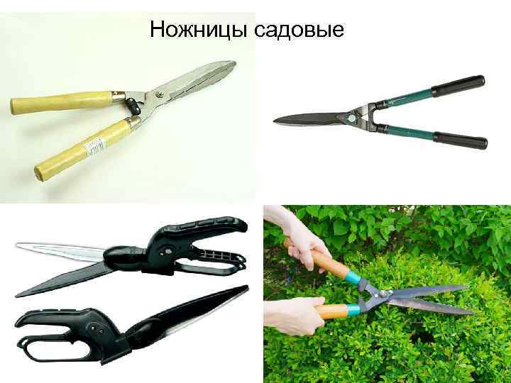 Ножницы садовые 