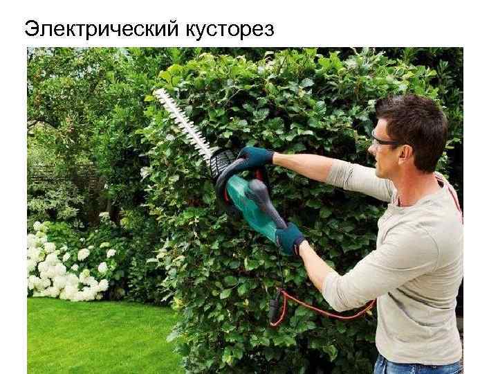 Электрический кусторез 